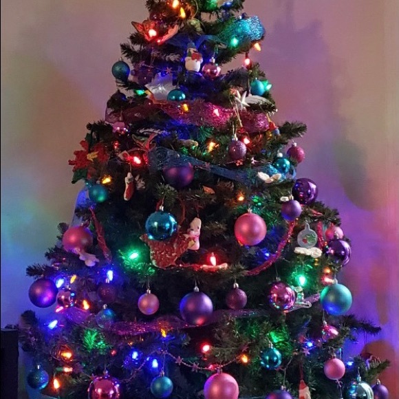 Meet your Posher, Kimberley - Picture 1 of 1